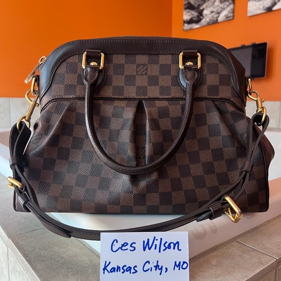 Louis Vuitton Damier Ebene Trevi PM - Picture 1 of 11